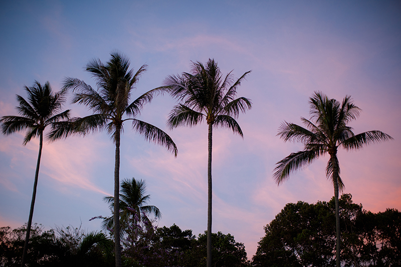 Samui Wedding Photographer