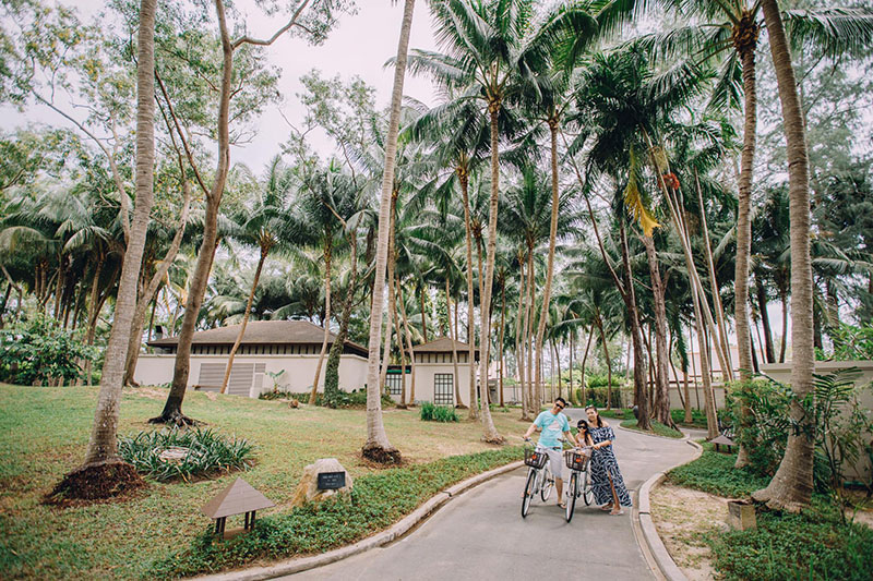 Family photographer Phuket